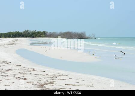 Fort De Soto Park Florida USA Foto Stock