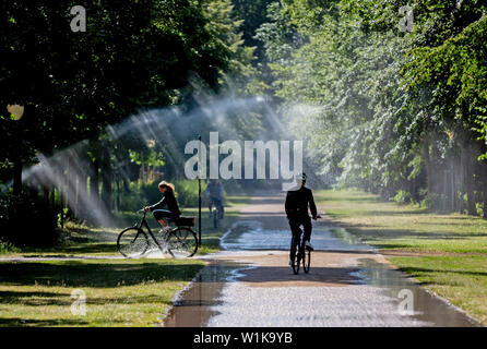 Berlino, Germania. 03 Luglio, 2019. I ciclisti ride through berlinese di Tiergarten, mentre raggi solari diventano visibili in un flusso di irrigazione. Credito: Christoph Soeder/dpa/Alamy Live News Foto Stock