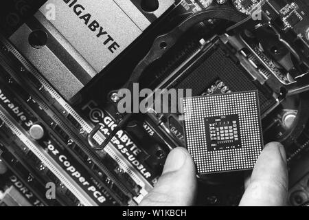 Maykop, Russia - 17 Settembre 2016: CPU Intel in maschio dita sullo sfondo della scheda madre Gigabit, vista dall'alto di close-up, foto in bianco e nero Foto Stock