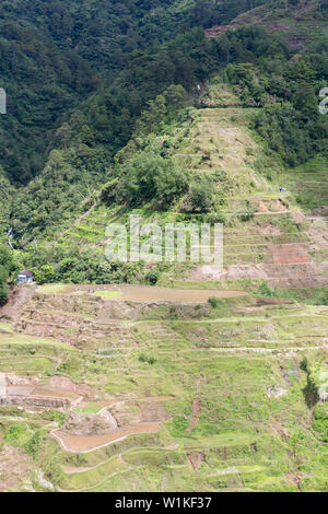Vista dei terrazzi di riso come visto dal punto di vista Banaue, Banaue, Filippine Foto Stock