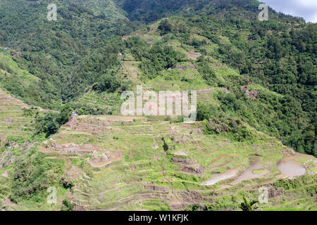 Vista dei terrazzi di riso come visto dal punto di vista Banaue, Banaue, Filippine Foto Stock