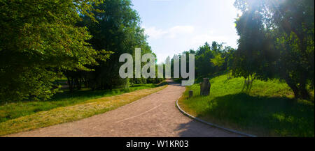 Ampia via nel parco, il mattino, tempo primaverile, Kladno, Rebublic ceca Foto Stock