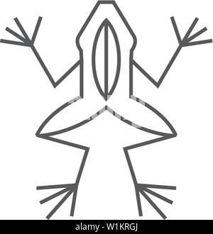 Laboratorio di icona di rana nel contorno sottile stile. Esperimento di scuola lezione di biologia studio Illustrazione Vettoriale
