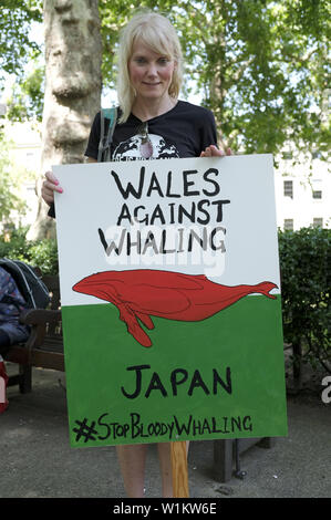 Giugno 29, 2019 - Londra Greater London, Regno Unito - Un attivista detiene un cartello che dice che il Galles contro la caccia alle balene durante la marcia globale per le balene a Londra..anti-caccia alla balena gli attivisti si sono riuniti a Londra per protestare contro il Giappone per prelevare dalla Commissione baleniera internazionale (IWC) e commerciale di riprendere la caccia alla balena. Essi chiedono il Giappone, Islanda e Norvegia al fine della caccia alla balena. (Credito Immagine: © Andres Pantoja/SOPA immagini via ZUMA filo) Foto Stock