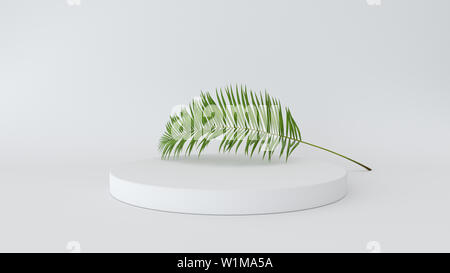 3D render di astratta della piattaforma con palm lasciare. Figure geometriche in moderno design minimale. Simulazione realistica per la visualizzazione del prodotto Foto Stock