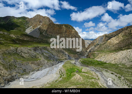 Yak Kohla sulla strada da Nar su Teri Tal a Mustang, Nepal, Himalaya, Asia Foto Stock