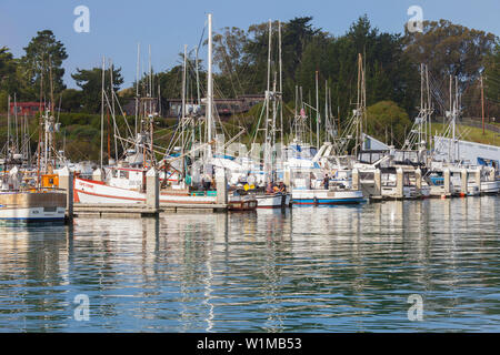 Spud Point Marina, Bodega Bay, California, Stati Uniti Foto Stock