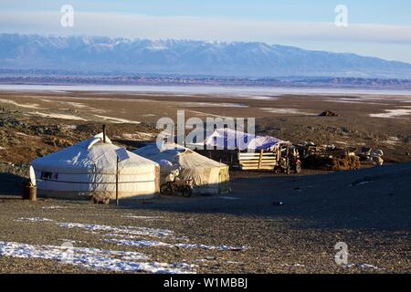 Winter camp di nomadi Mongoli nel deserto del Gobi, Mongolia Foto Stock