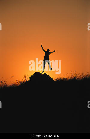 Donna, Jump, Sud Afrika Foto Stock