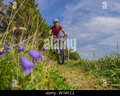 Mountain biker in sella tra boschi della Foresta Nera, vicino Todtnauberg, Baden Württemberg, Germania Foto Stock