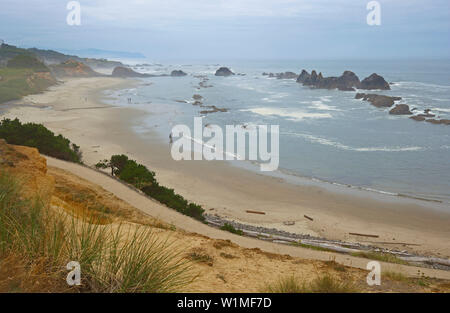 Seal Rock Recreation Site nei pressi di Seal Rocks , Pacific-Coast , Oregon , U.S.A. , America Foto Stock