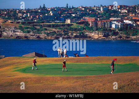 Bondi Campo da Golf, Sydney , NSW Australien Foto Stock