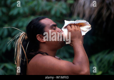 Muschelblaeser, Isole Cook Villaggio Culturale Rarotonga, Cook-Inseln Foto Stock