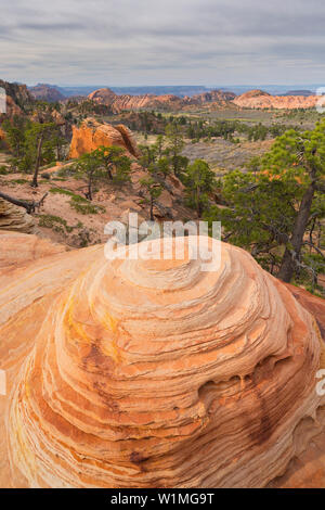 Gesteinsformationen am Kolob inferiore altopiano, Parco Nazionale Zion, Utah, Stati Uniti d'America Foto Stock