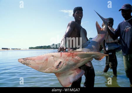 I pescatori sulla spiaggia di Arugam Bay, Pottuvil Sri Lanka Foto Stock