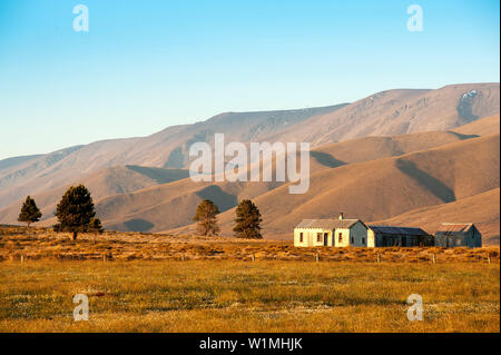 Distanza stazione di ovini nelle montagne della gamma Hawkdun, Otago, Isola del Sud, Nuova Zelanda Foto Stock