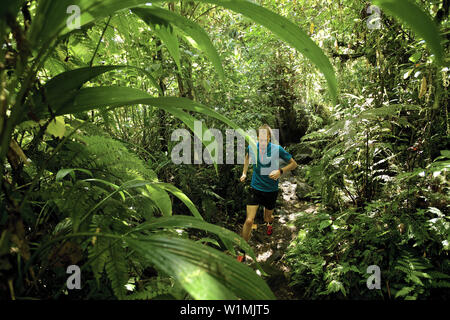 Giovane uomo che corre attraverso una giungla, Dominica, Piccole Antille, dei Caraibi Foto Stock