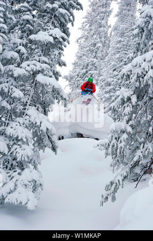 Tree-Skiing, Crested Butte, Colorado, STATI UNITI D'AMERICA Foto Stock