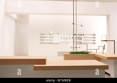 Un bianco moderno laboratorio con set di tubi in rame in linee e glasswares sulla parete della mensola Foto Stock