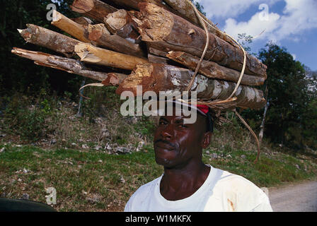 Mann traegt Brennholz, St. Ann Jamaika, Karibik Foto Stock