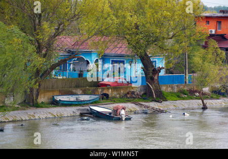 Il Delta del Danubio vicino a Crisan (a circa km 24) , Bocca del ramo di Sulina del Danubio , Mar nero , Romania , Europa Foto Stock