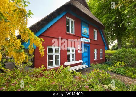 Casa Schifferwiege in Wustrow, Darss, Mar Baltico, Meclemburgo-Pomerania Occidentale, Germania Foto Stock