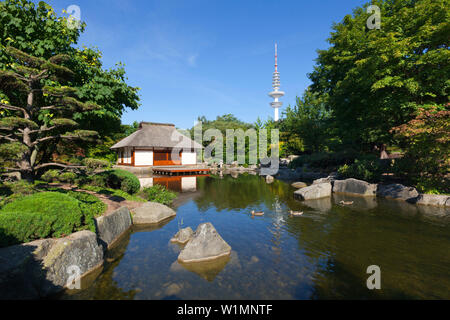Teahouse nel giardino giapponese, la torre della televisione in background, il parco Planten un Blomen, Amburgo, Germania Foto Stock
