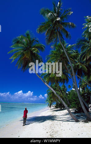 Palmenstrand, Kokospalmen, Pigeon Point Tobago, West Indies, Karibik Foto Stock