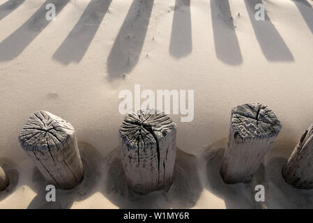 Spiaggia, groyne, Domburg, costa del Mare del Nord, Zeeland, Paesi Bassi Foto Stock