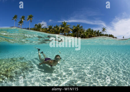 Snorkeling off Palme Isola, Fadol, Kai, ISOLE MOLUCCHE, INDONESIA Foto Stock