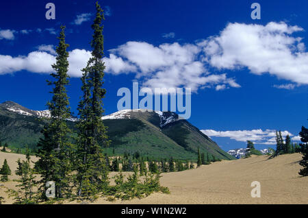 Il deserto più piccolo al mondo, Carcross Desert, Carcross, Yukon Territory, Canada Foto Stock