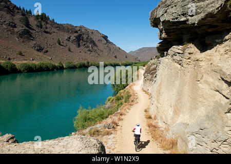 La Roxburgh Bike Trail seguendo il Fiume Clutha attraverso una profonda gola, Otago, Isola del Sud, Nuova Zelanda Foto Stock