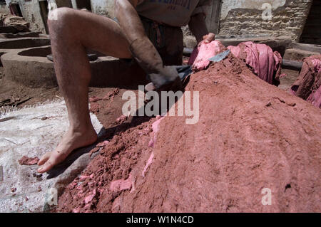 Lavoratore nel trimestre i conciatori, Chouara, Fes, Marocco Foto Stock