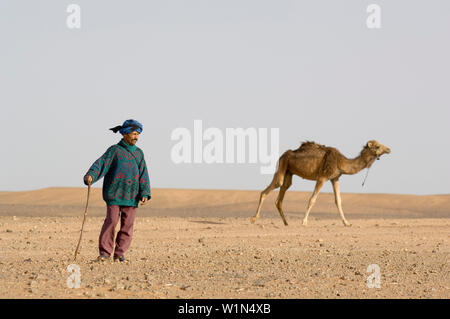 Driver di cammello, Erg Chebbi, Marocco Foto Stock