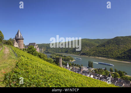 Vista a Burg Castello Stahleck, il Reno e i vigneti sopra Bacharach, Valle del Reno superiore e centrale, Rheinland-Palatinate, Germania, Europa Foto Stock