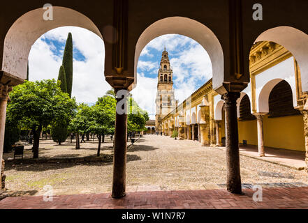 Il campanile della cattedrale Mezquita-Catedral de Cordoba, incorniciata da un arco, Cordoba, Andalusia, Spagna Foto Stock
