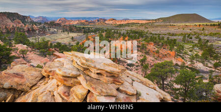 Gesteinsformationen am Kolob inferiore altopiano, Parco Nazionale Zion, Utah, Stati Uniti d'America Foto Stock