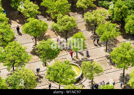 Vista dal campanile al cortile interno della cattedrale nel centro storico di Siviglia, in Andalusia, provincia di Siviglia, Spagna Foto Stock
