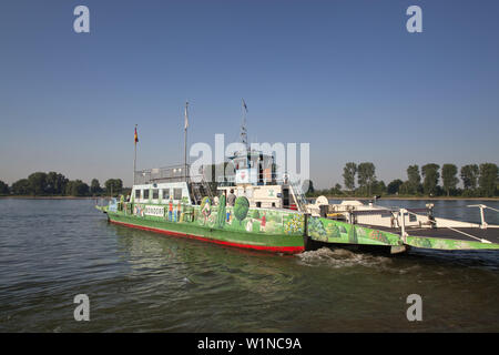 Traghetto per attraversare il Reno a Mondorf nei pressi di Bonn, Renania settentrionale-Vestfalia, Germania Foto Stock