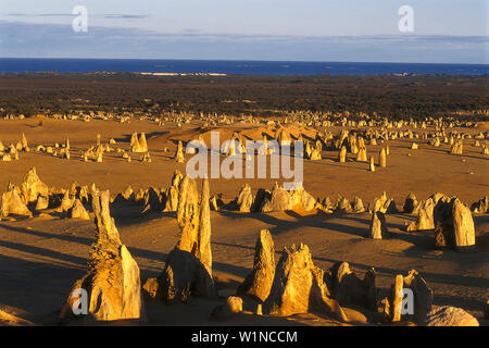 Il Deserto Pinnacles, Nambung NP WA, Australia Foto Stock