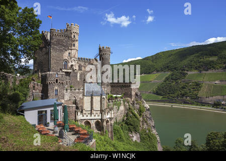 Burg Rheinstein Castello al di sopra del Reno vicino Trechtingshausen, Valle del Reno superiore e centrale, Rheinland-Palatinate, Germania, Europa Foto Stock