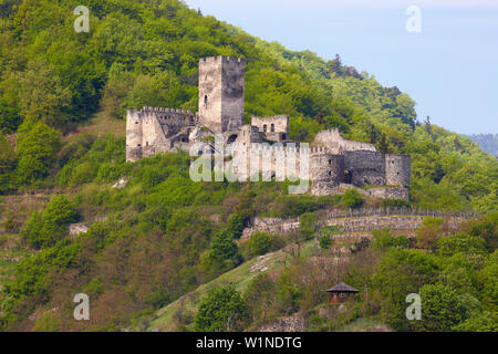 Vista di Spitz con la rovina Hinterhaus , Wachau , Fiume Danubio , Niederösterreich , Bassa Austria , Austria , Europa Foto Stock