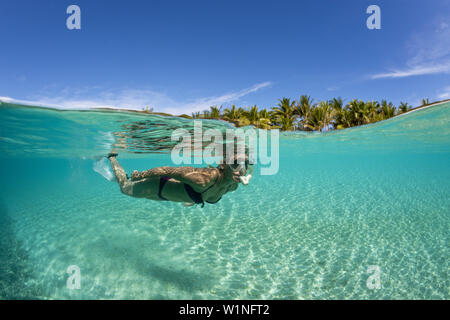 Snorkeling off Palme Isola, Fadol, Kai, ISOLE MOLUCCHE, INDONESIA Foto Stock