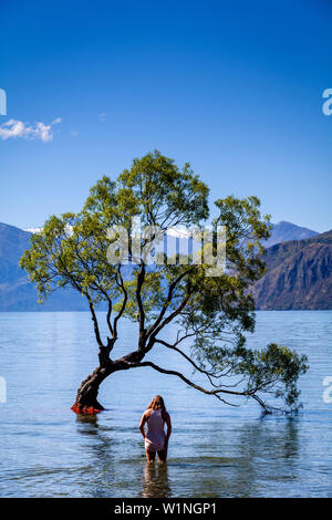 Un giovane visitatore passeggiate fuori l'iconica " Lone Tree" nel lago, lago Wanaka, Regione di Otago, Isola del Sud, Nuova Zelanda Foto Stock