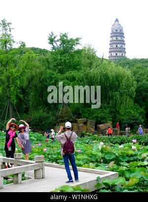 Jiangsu, Jiangsu, Cina. 3 Luglio, 2019. Jiangsu, Cina - 3 Luglio 2019:un padiglione del giardino di huqiu mountain scenic area di Suzhou, provincia dello Jiangsu è sovrapposto con Lotus con una superficie di circa 1500 metri quadrati.fioritura lotus e un migliaio di anni pagoda attraggono molti turisti a venire a prendere le foto. Credito: SIPA Asia/ZUMA filo/Alamy Live News Foto Stock