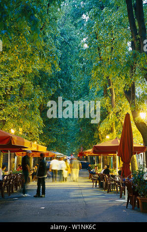 Viale XX. Settembre, Trieste, Friuli Italia Foto Stock