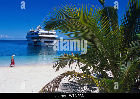 Palm e MV Mystique Princess, Blue Lagoon Cruise, Yasawa Il Nanuya Lailai Island, Isole Figi Foto Stock