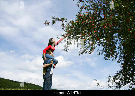 Donna Uomo di spalle, per raggiungere un apple, Stiria, Austria Foto Stock