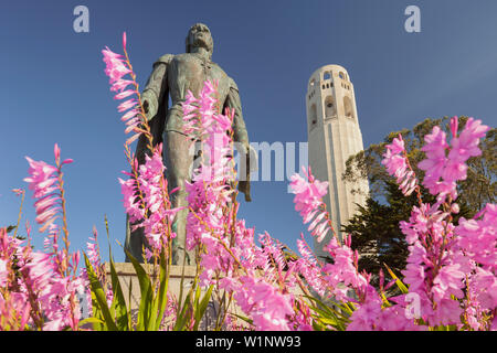 Coit Tower, Telegraph Hill, San Francisco, California Foto Stock