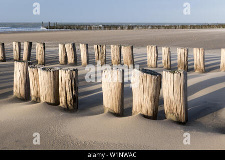 Spiaggia, groyne, Domburg, costa del Mare del Nord, Zeeland, Paesi Bassi Foto Stock